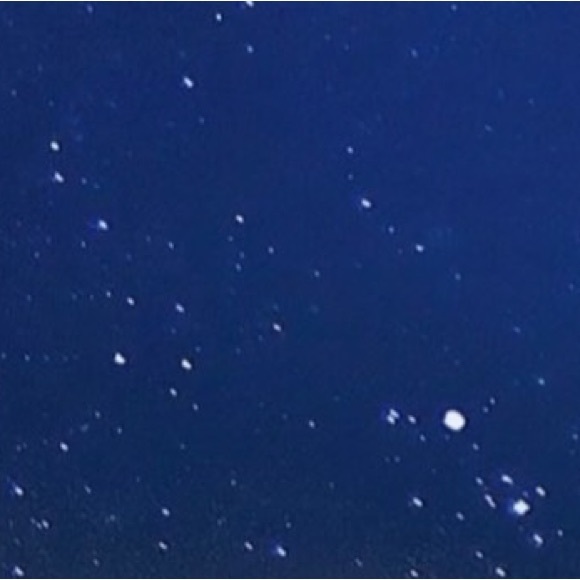 Meet your Posher, Haven - Picture 1 of 1